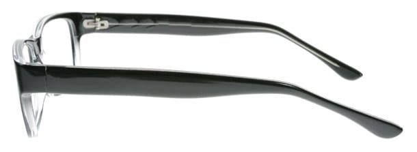 The picture shows a frame in which hte pantoscopic tilt can not be adjusted